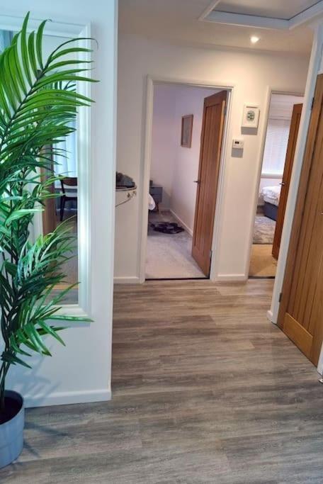 Spacious Home With Panoramic Sea View, Free Parking Ev & Large Garden Mousehole Bagian luar foto